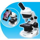 Discovery - HD Microscop