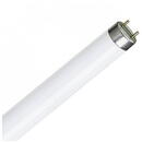 Locale Tub fluorescent T8 18W 600mm, alb cald - Philips