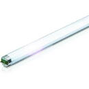 Locale Tub fluorescent T8 18W 600mm, alb neutru - Philips