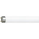 Locale Tub fluorescent T8 58W 1500mm, alb cald - Philips