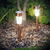 Garden of Eden Lampă solară LED pt. exterior - 300 x 45 mm, metal,  Auriu rosé