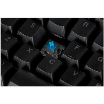 Tastatura ENDORFY OMNIS KAILH BLUE RGB