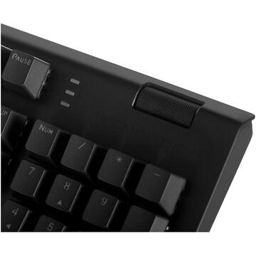 Tastatura ENDORFY GAMING OMNIS KAILH BROWN RGB