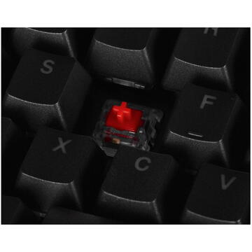 Tastatura ENDORFY GAMING OMNIS KAILH RED RGB