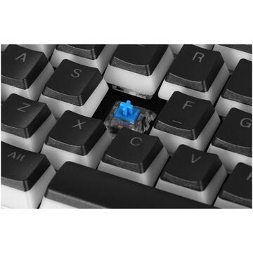 Tastatura ENDORFY GAMING OMNIS PUDDING KAILH BLUE RGB