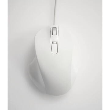Mouse matias Ergonomic Mac PBT, USB-C, White