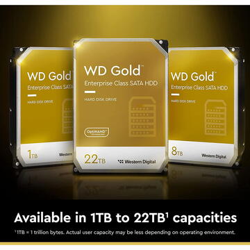 Western Digital Gold Enterprise Class 22TB SATA3 512MB 3.5inch