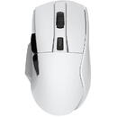 Mouse DAREU A955 RGB 400-12000 DPI white