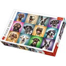 Trefl Puzzles 1000 elements Funny dog portraits