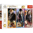 Trefl Puzzles 200 elements World of m agic Harry Potter