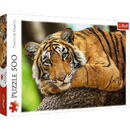 Trefl Puzzles 500 elements Tiger portrait