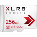 Card memorie PNY XLR8 256GB GAMING CLASS 10 U3