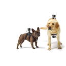 Fetch Dog Harness / Ham pentru caini cu prindere quick-release J-Hook compatibil GoPro GP186
