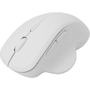 Mouse SBOX WM-549 1600 DPI, USB 2.0, Alb