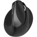 Mouse DeLux ergonomic wireless/bluetooth M618Mini Negru