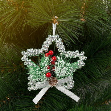 Familly Christmas Decor de Craciun - stea argintie - 10 cm