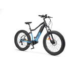 Biciclete electrice Jeep Bicicleta electrica BLIZZARD, 250W, 80Nm, 7 viteze Gri