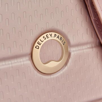 DELSEY BAG TURENNE HORIZONTAL CLUTCH PEONY