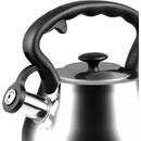 Ceainice si infuzoare PROMIS ANDREA kettle 3.0 l, silver, black handle