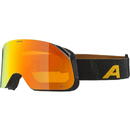 Echipament Ski Alpina Blackcomb Q-Lite Black-Yellow Matt Q-Lite Orange S2 winter sports goggles