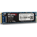 SSD Mega Fastro 1TB  M.2 MS150 Series PCI-Express NVMe intern
