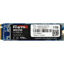 SSD Mega Fastro 1TB  M.2 MS250 Series PCI-Express NVMe intern