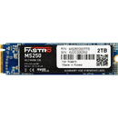 SSD Mega Fastro 2TB M.2 MS250 Series PCI-Express NVMe intern