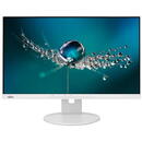 Monitor LED Fujitsu Tech. Solut. B24-9 T- 60,5cm 1920x1080  5ms VGA/DP /HDMI,  Gri