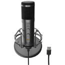 Microfon Genesis Radium 600 G2