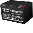 Ted Electric Acumulator AGM VRLA 12V 12,5A dimensiuni 151mm x 98mm x h 95mm F2 TED Battery Expert Holland TED002754 (4)