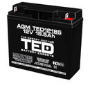 Ted Electric Acumulator AGM VRLA 12V 18,5A dimensiuni 181mm x 76mm x h 167mm F3 TED Battery Expert Holland TED002778 (2)