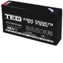 Ted Electric Acumulator AGM VRLA 6V 7,3A dimensiuni 151mm x 35mm x h 95mm F1 TED Battery Expert Holland TED002976 (10)