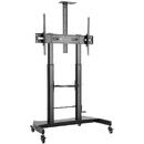 Techly mobile TV stand 60-100cali 100kg