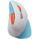 Mouse Wireless Vertical Mouse Dareu LM138G 2.4G 800-1600 DPI (blue-white)