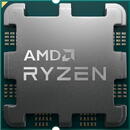 Procesor AMD Ryzen 7 7800X3D - Socket AM5 Tray