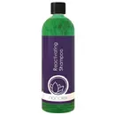 Produse cosmetice pentru exterior Sampon Auto Nanolex Reactivating Shampoo, 750ml
