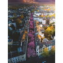 Ravensburger Puzzle: Blooming Bonn (1500 pieces)