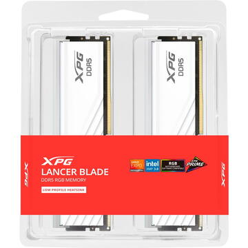 Memorie ADATA DDR5 - 48GB - 6000 - CL - 30 (2x 24 GB) dual kit, RAM (white, AX5U6000C3024G-DTLABRWH, Lancer Blade RGB, INTEL XMP, AMD EXPO)