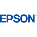 Ink Epson T699000 Cleaning Cartridge