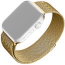 Curea pentru Apple Watch 1/2/3/4/5/6/7/8/9/10/SE/SE 2/Ultra/Ultra 2 (42/44/45/46/49mm) - Fixed Mesh Strap - Gold