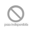 Diverse articole pentru bucatarie Alfa Forni Cover for Moderno 2 Pizze